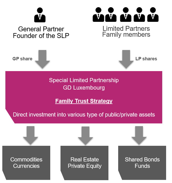 Family trust fund strategy flow chart